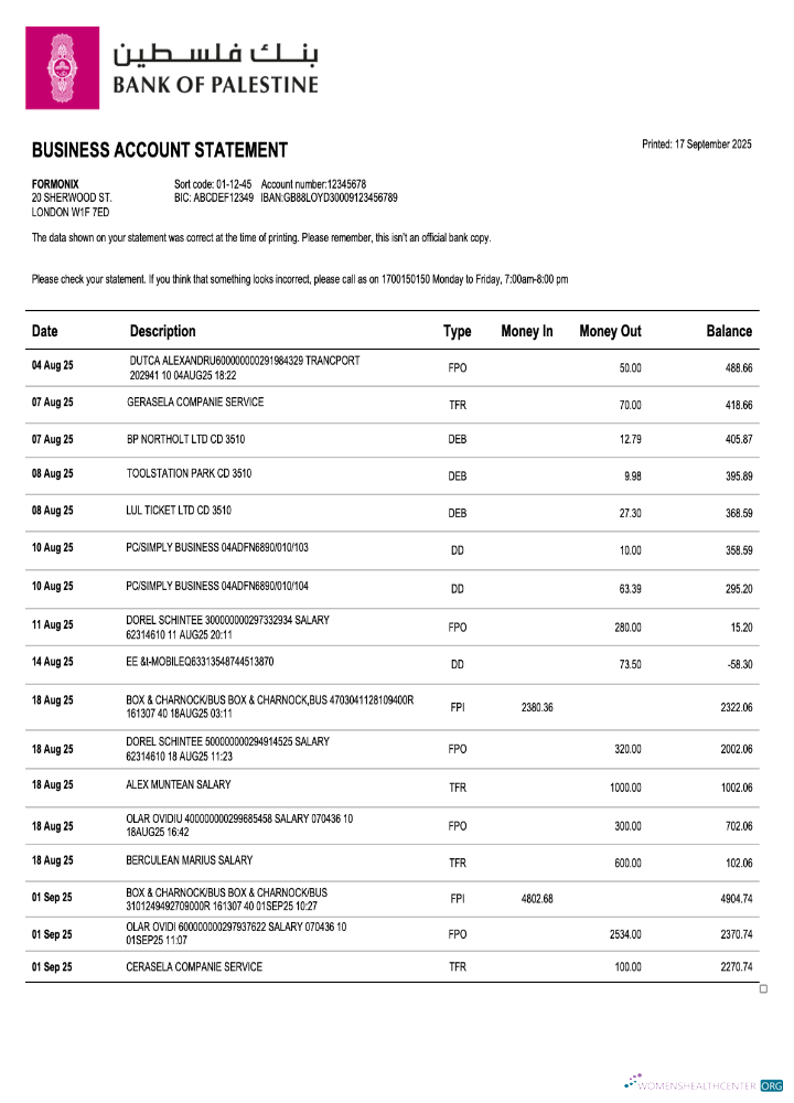 Palestinian Bank of Palestinian company checking account statement Word and PDF template